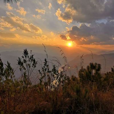 kaiyun平台app下载app下载