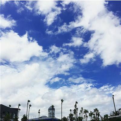 best365官网app下载