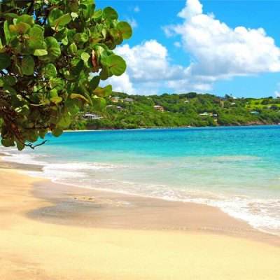 爱游戏·综合APP