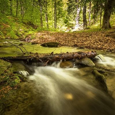 梭哈游戏下载手机app下载