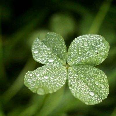 华体育下载手机版