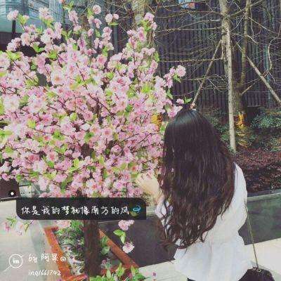 AOA体育登录入口app下载